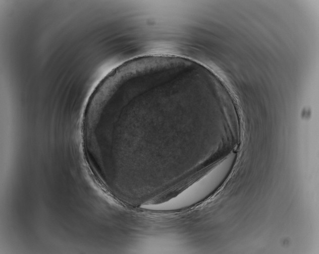 X0000097980864200804071123