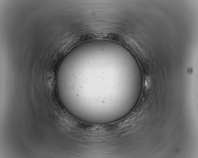 X0000097980867200804071122