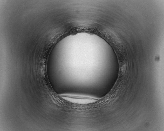 X0000097980868200804071122