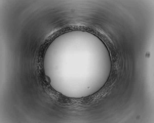 X0000097980870200804071122