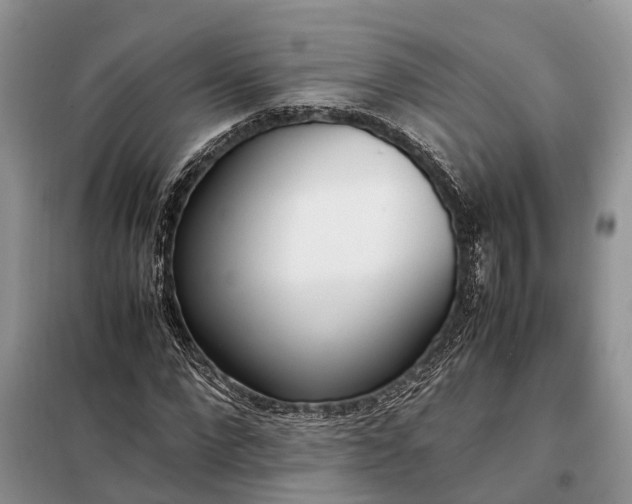X0000097980872200804071122