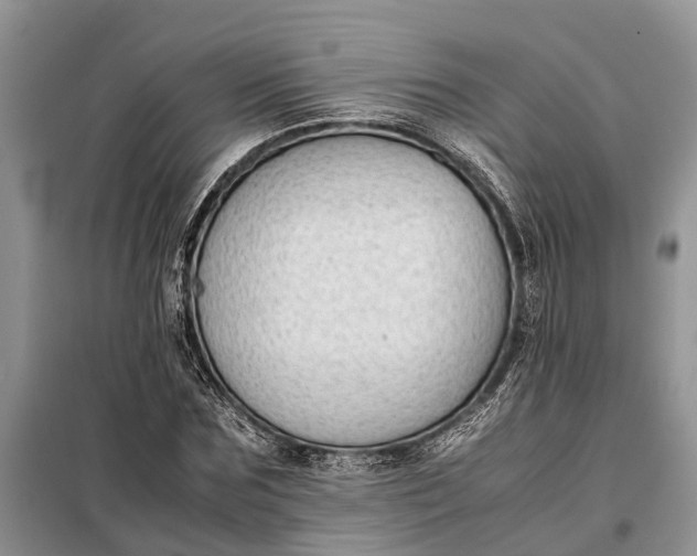 X0000097980875200804071122