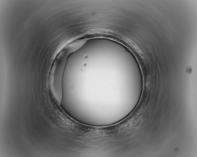 X0000097980877200804071122