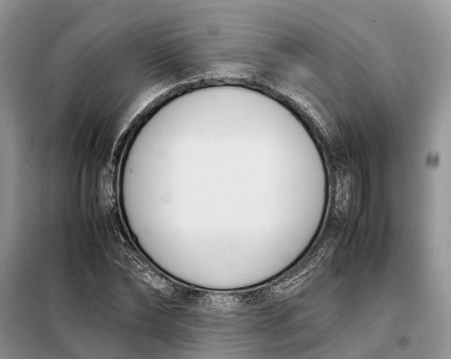 X0000097980878200804071122