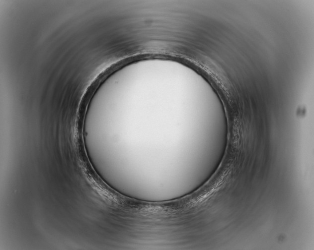 X0000097980880200804071122