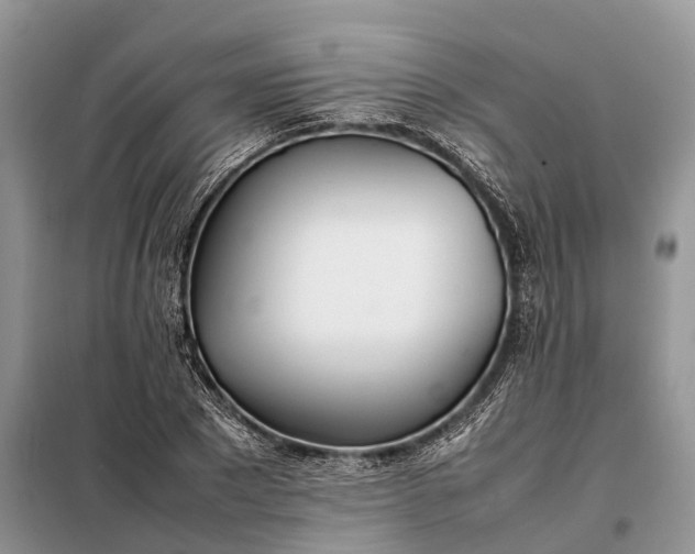 X0000097980881200804071122