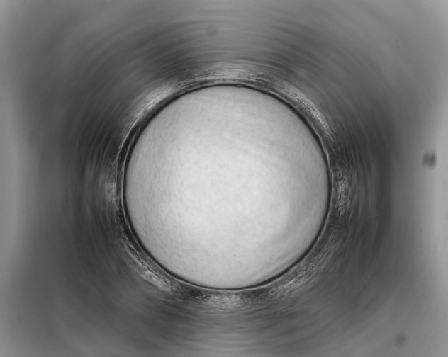 X0000097980882200804071122