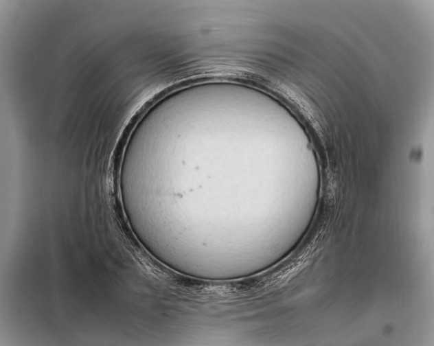 X0000097980883200804071122