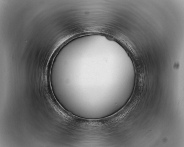 X0000097980884200804071122