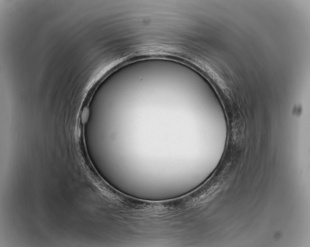X0000097980885200804071122