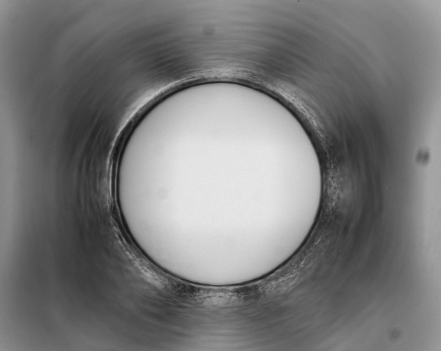X0000097980886200804071122