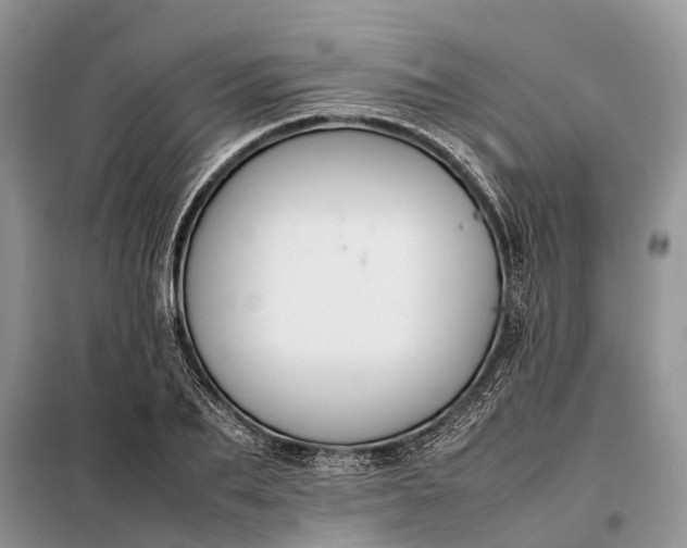 X0000097980887200804071122