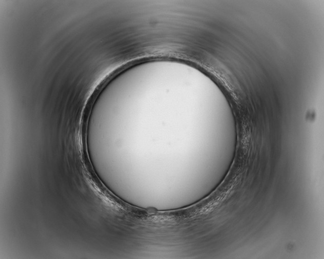 X0000097980888200804071122