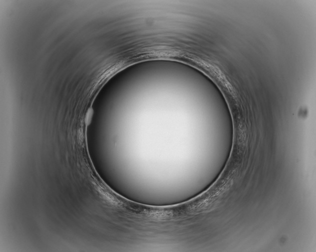 X0000097980889200804071122