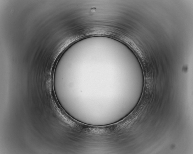 X0000097980890200804071122