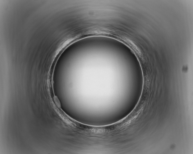 X0000097980893200804071122
