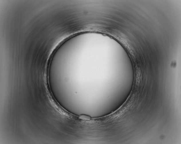X0000097980896200804071122
