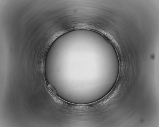 X0000097980897200804071122