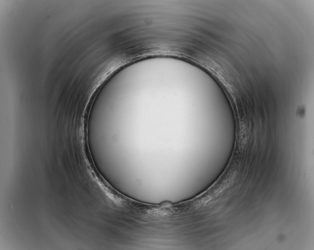 X0000097980898200804071122