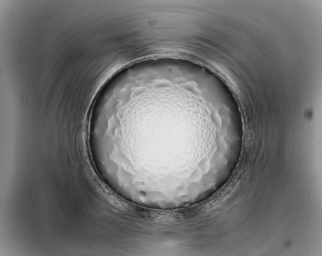 X0000097980899200804071122