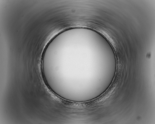 X0000097980901200804071121