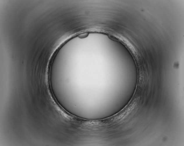 X0000097980902200804071121