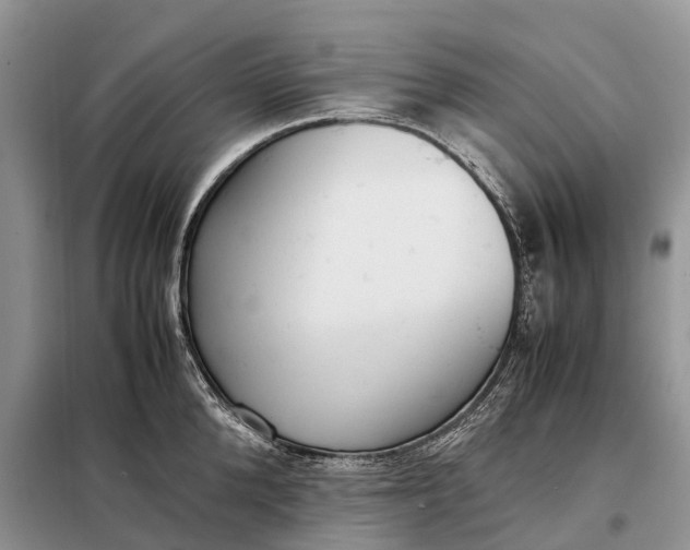 X0000097980904200804071121