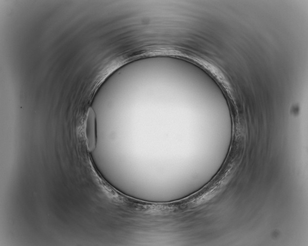 X0000097980905200804071121