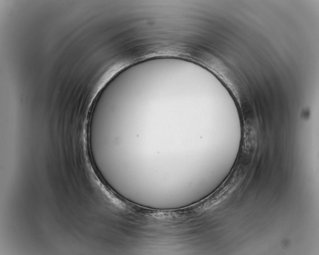 X0000097980906200804071121