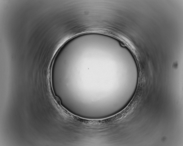 X0000097980907200804071121