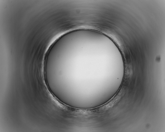 X0000097980910200804071121