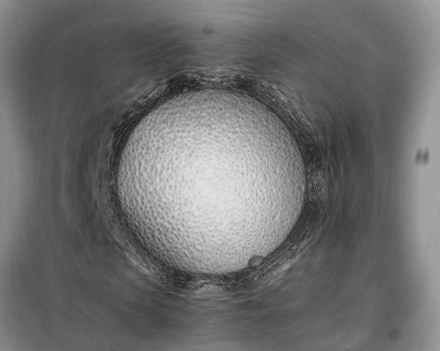 X0000097980913200804071120