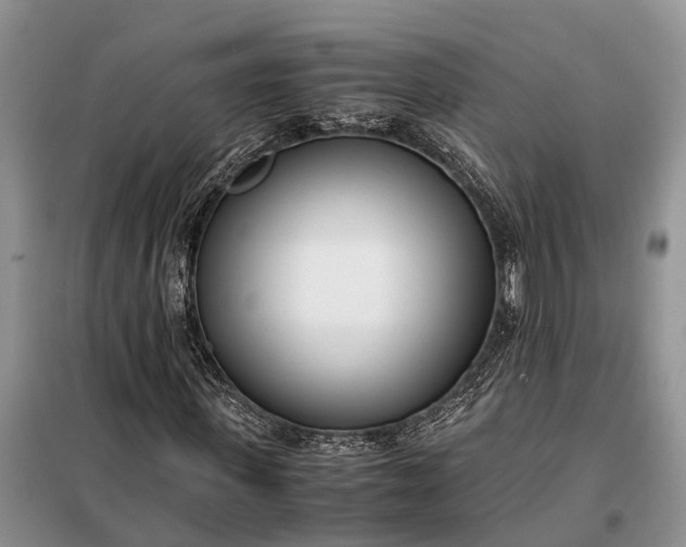 X0000097980915200804071121