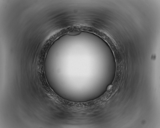 X0000097980919200804071121