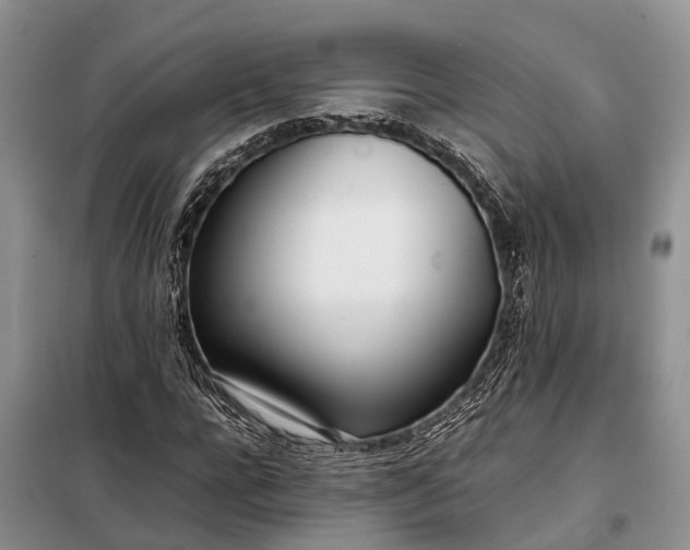X0000097980920200804071121
