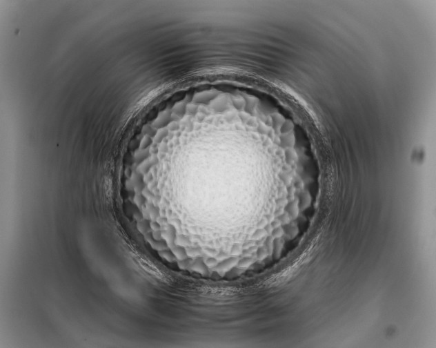 X0000097980921200804071121
