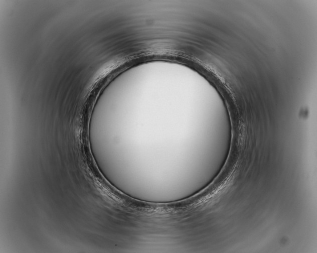 X0000097980922200804071121