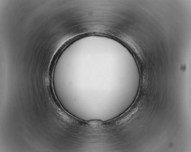 X0000097980924200804071121