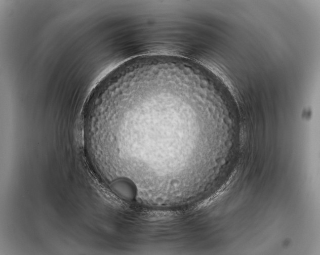 X0000097980925200804071121