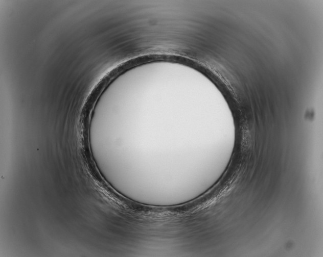 X0000097980926200804071121