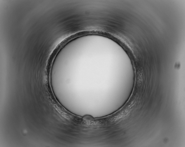 X0000097980927200804071121