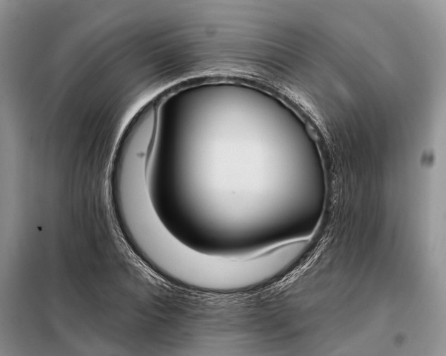 X0000097980928200804071121