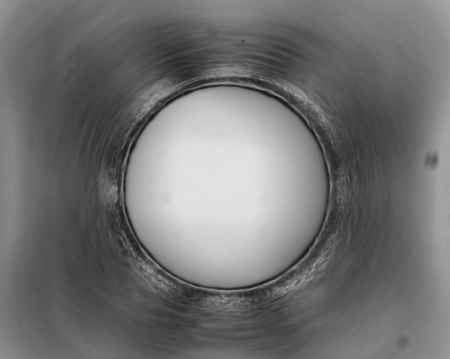 X0000097980929200804071121