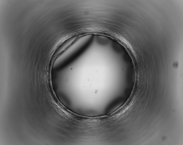 X0000097980930200804071121