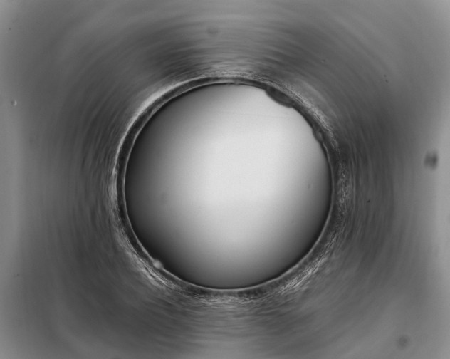 X0000097980932200804071121