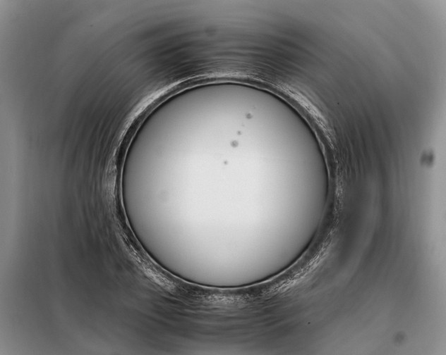 X0000097980933200804071121
