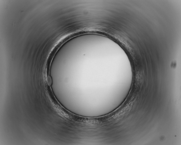 X0000097980934200804071121