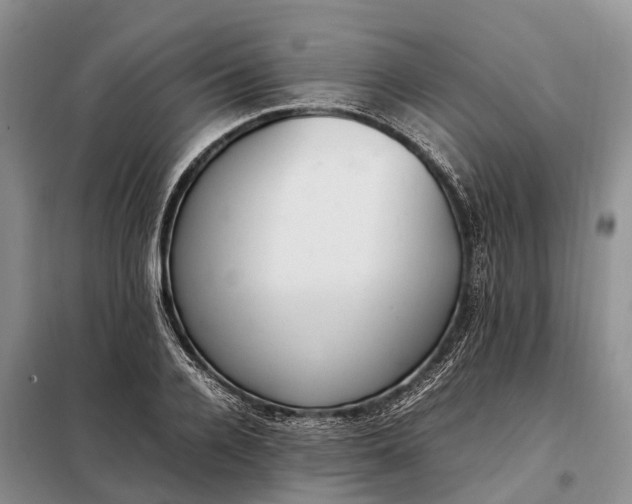 X0000097980936200804071121
