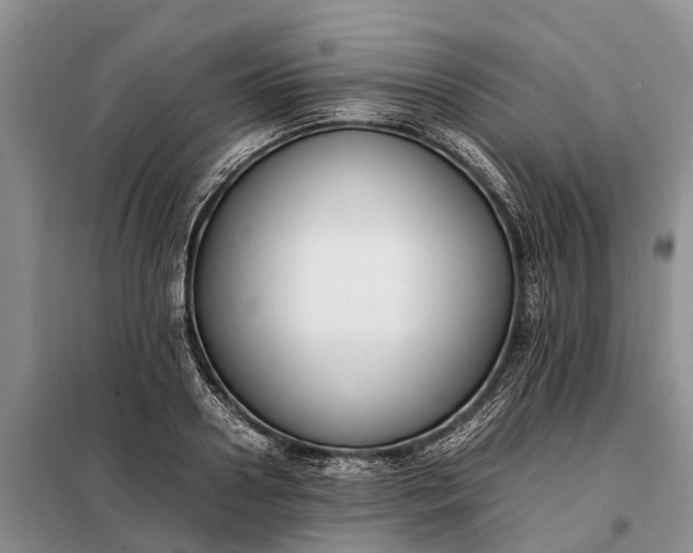 X0000097980938200804071121