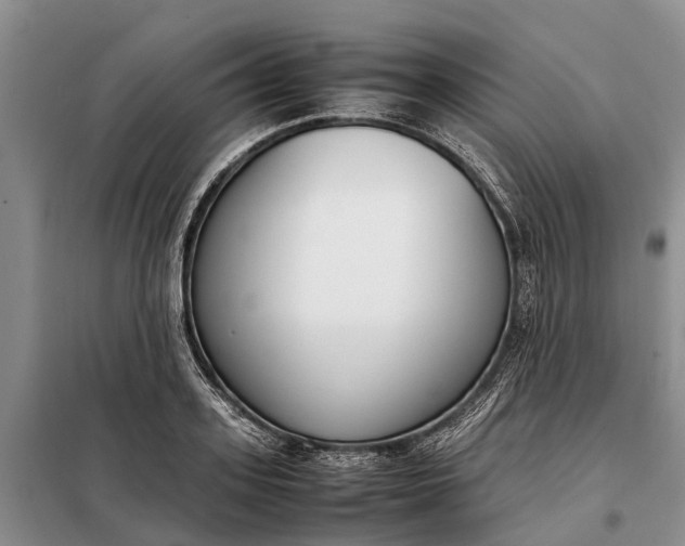X0000097980939200804071121